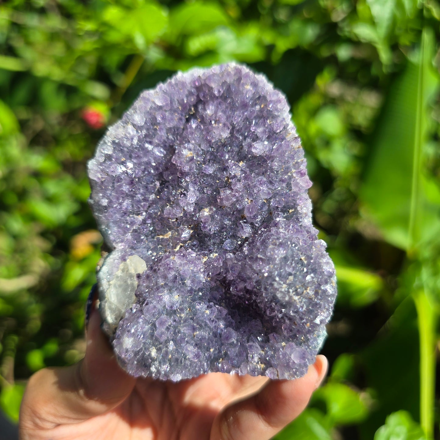 Rainbow Amethyst Cluster (Self-Standing) 257g