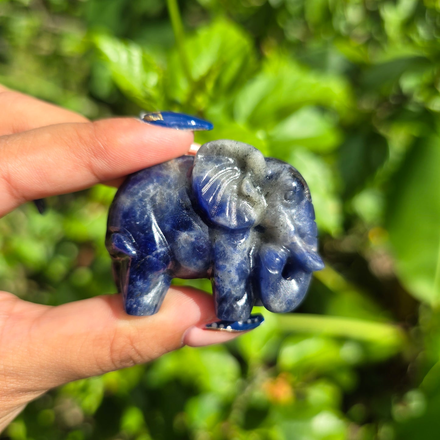 Sodalite Elephant Carving