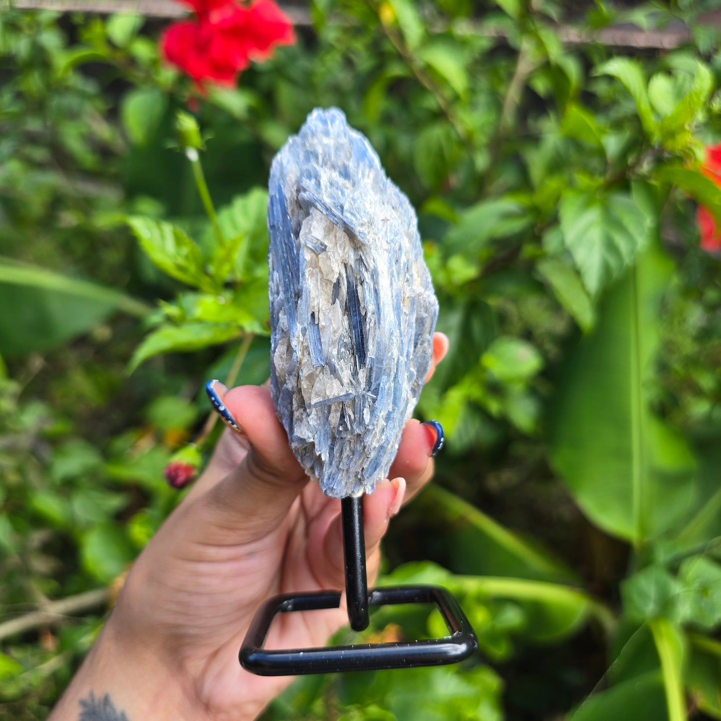 Blue Kyanite on Metal Stand