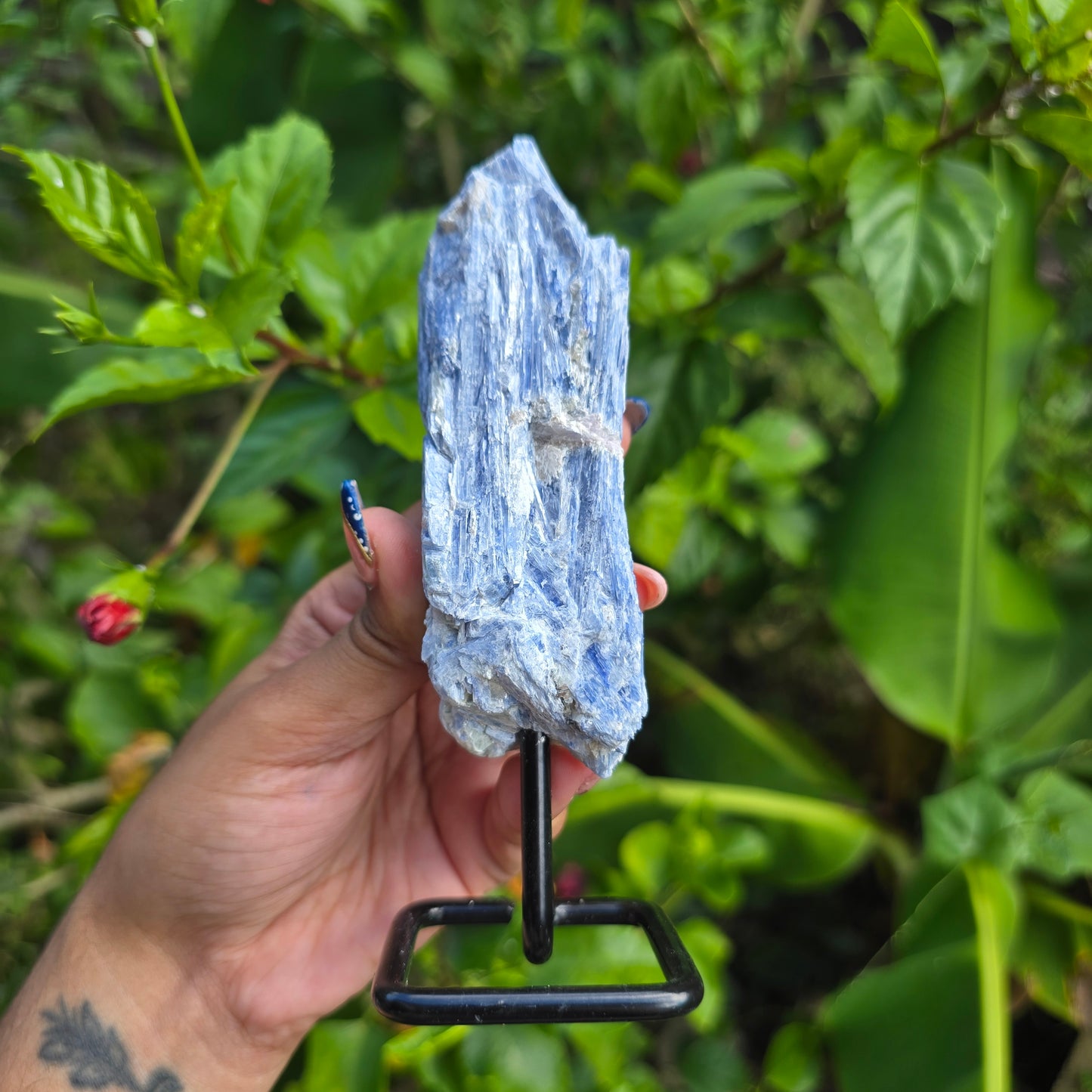 Blue Kyanite on Metal Stand