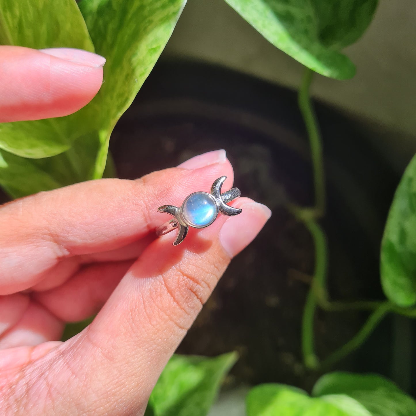 Adjustable Labradorite Ring