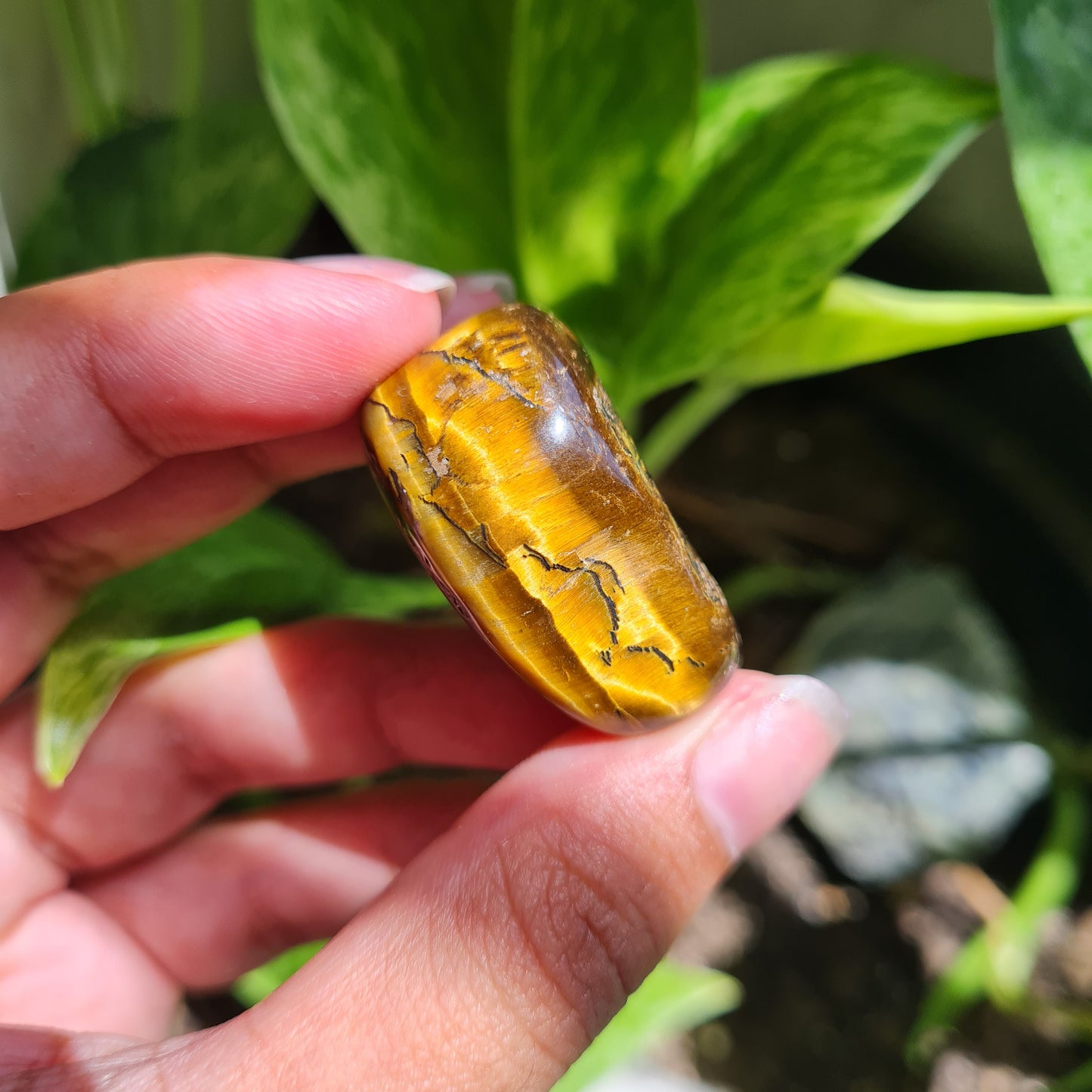 Tiger's Eye Tumbled Stone