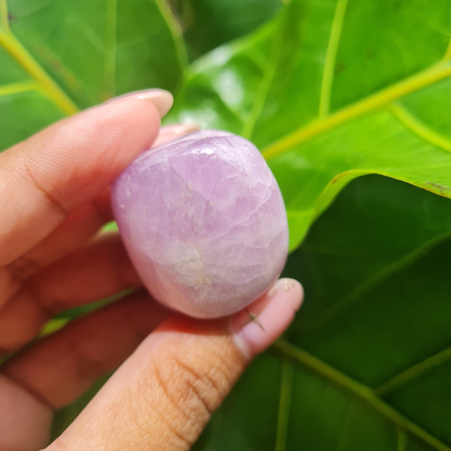 Kunzite Tumbled Stone