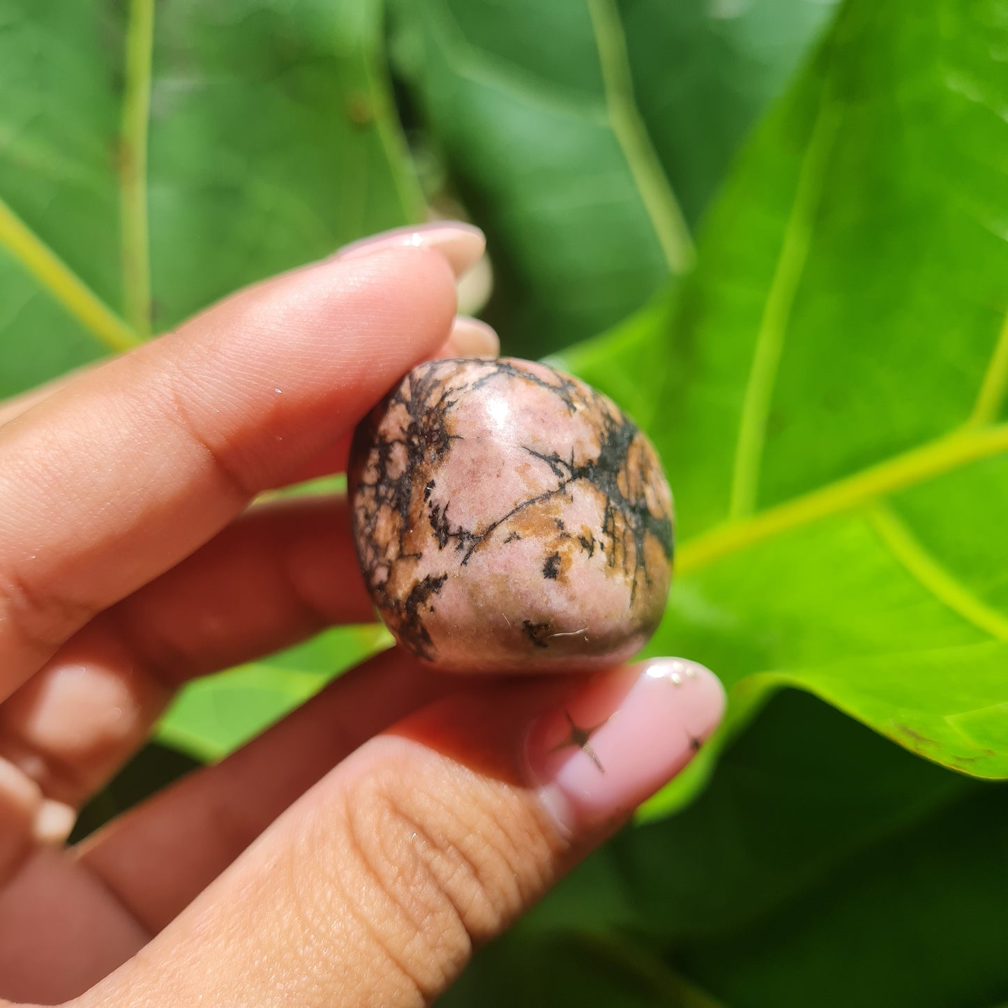 Rhodonite Tumbled Stone