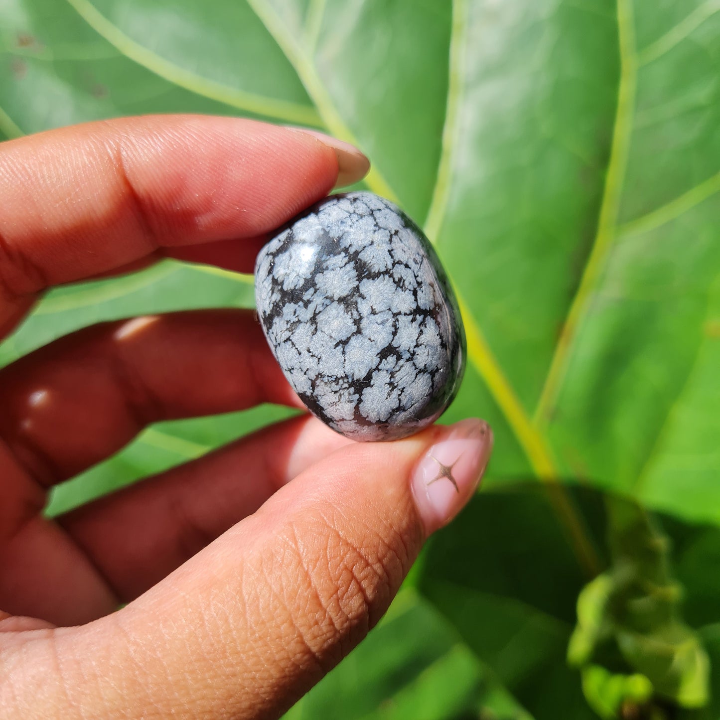 Snowflake Obsidian Tumbled Stone