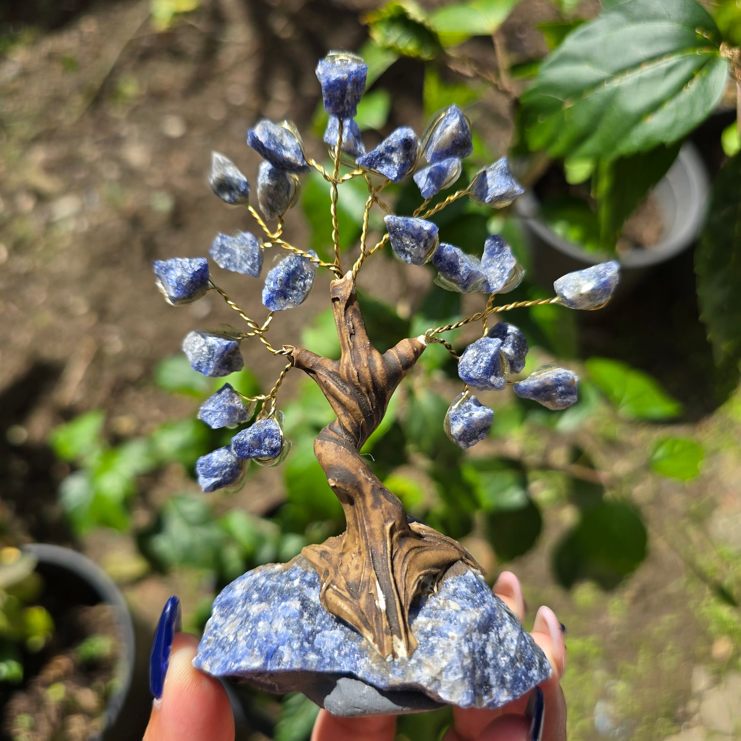 Sodalite Gemstone Tree