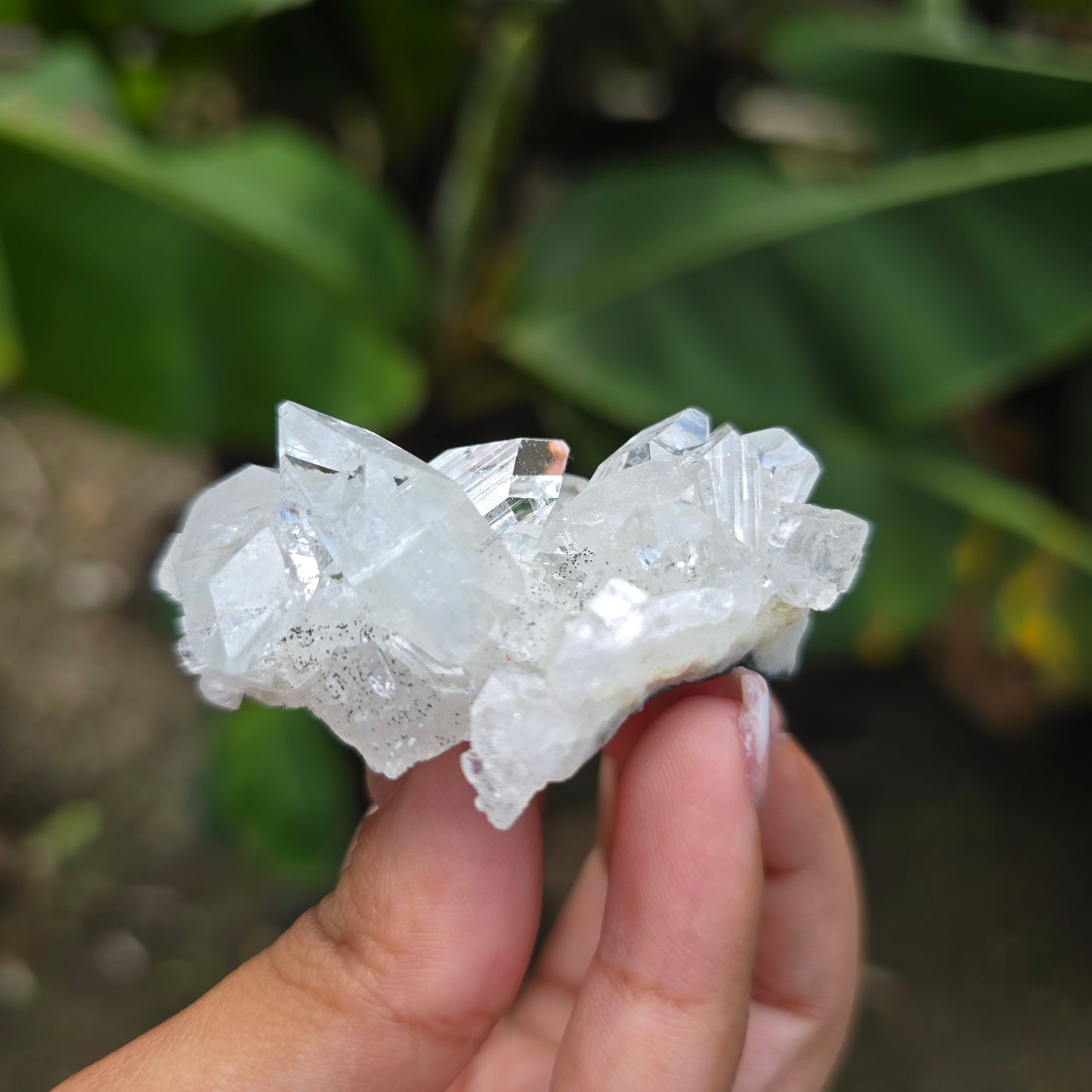 Apophyllite Specimen No 5