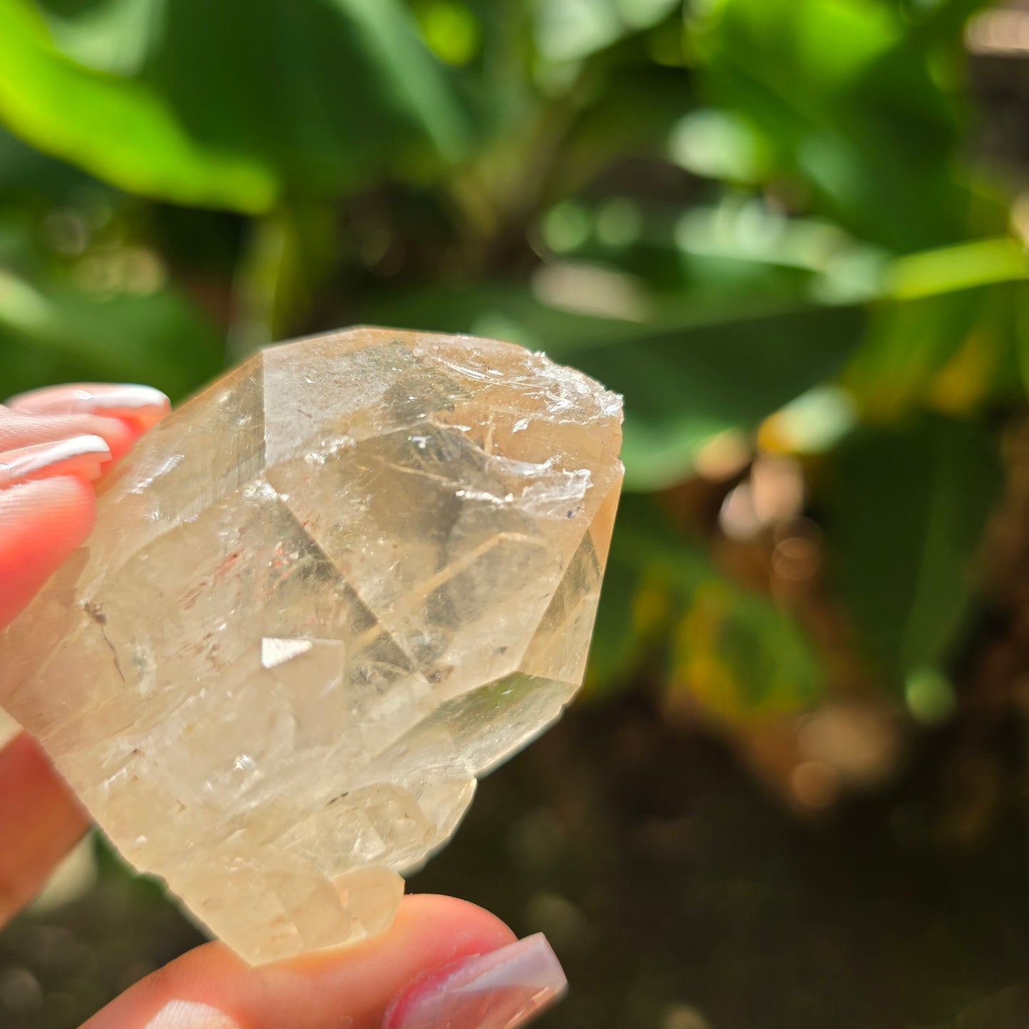Elestial Citrine Specimen No 9