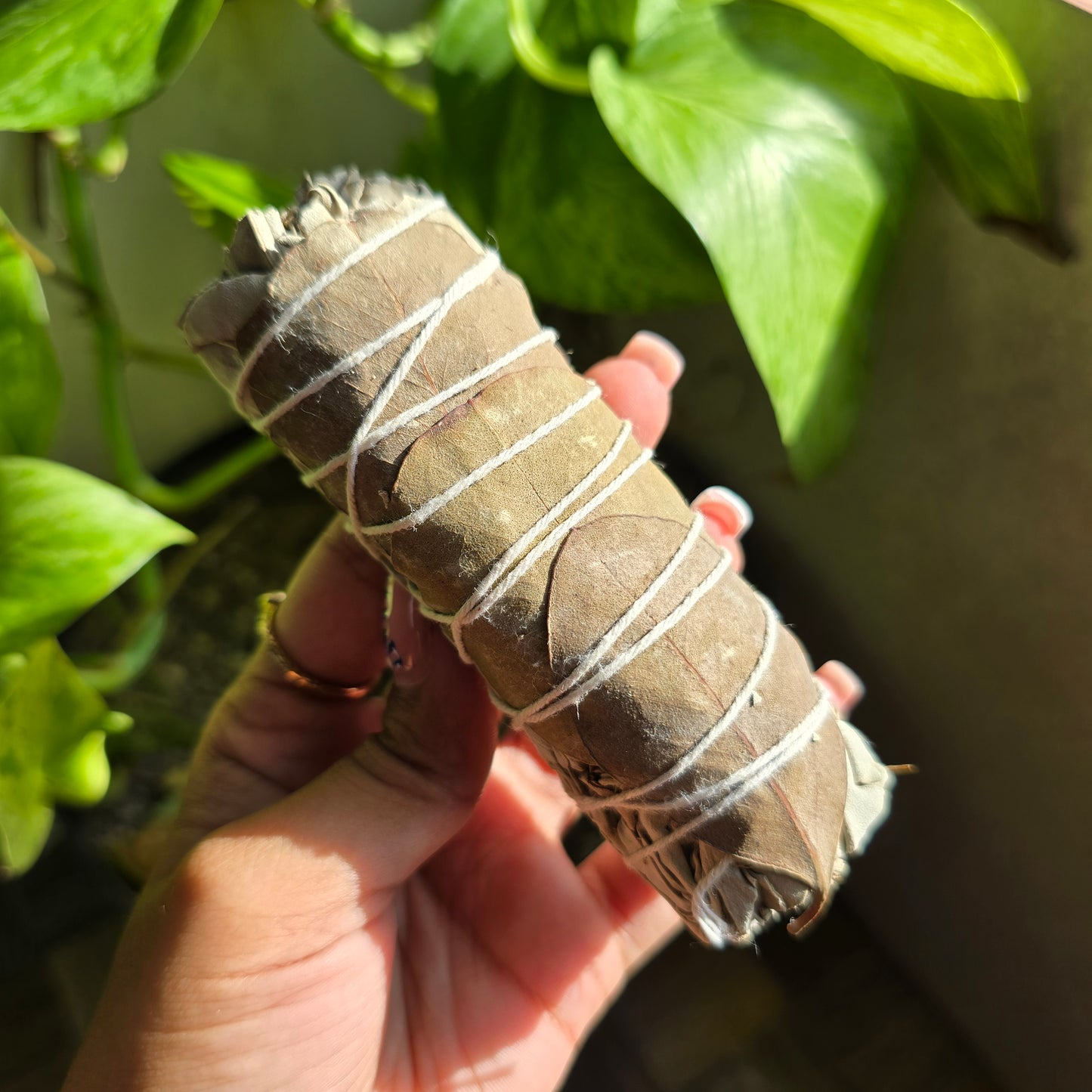 4 Inch White Sage Bundle
