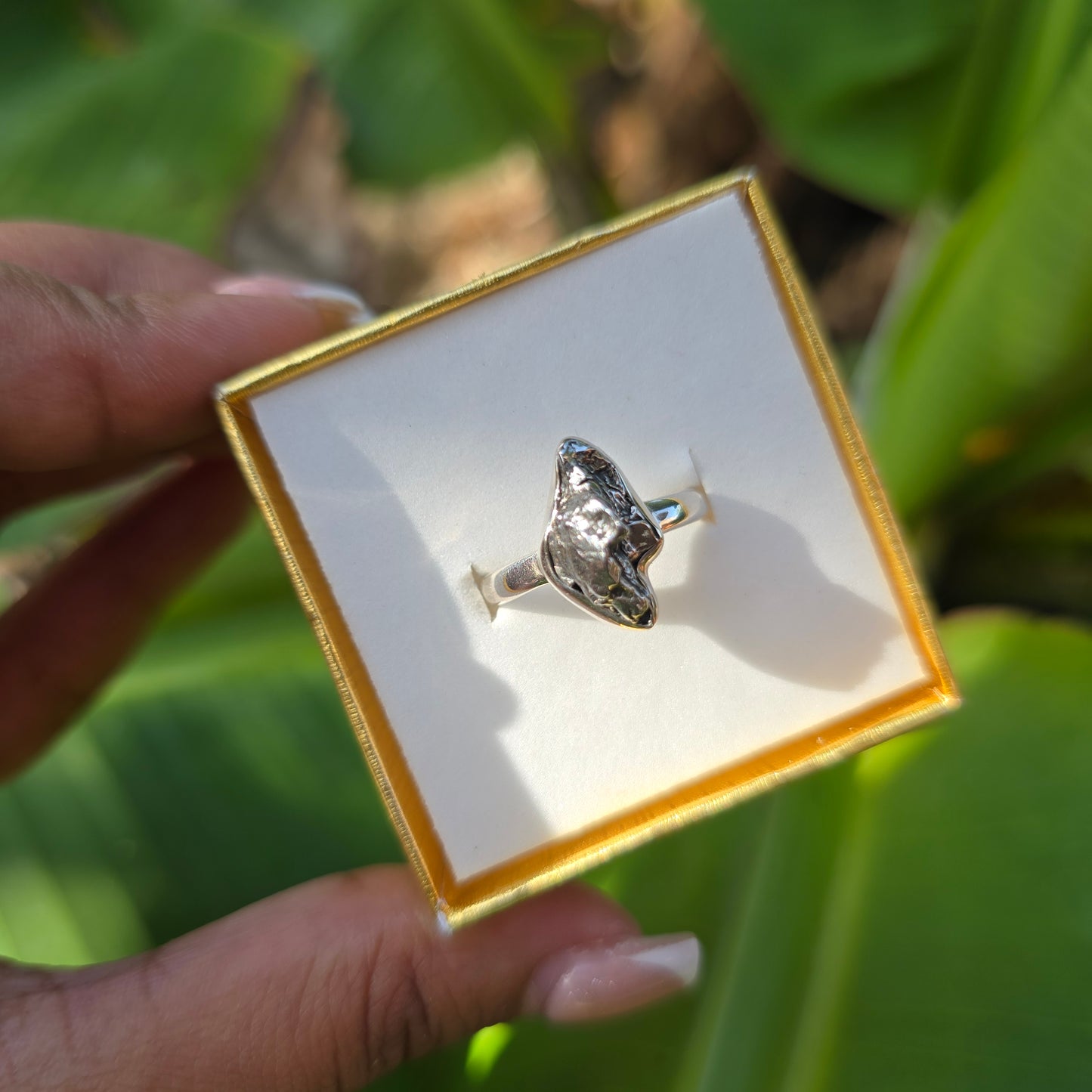 Campo del Cielo (Meteorite) Ring - Size 7.5