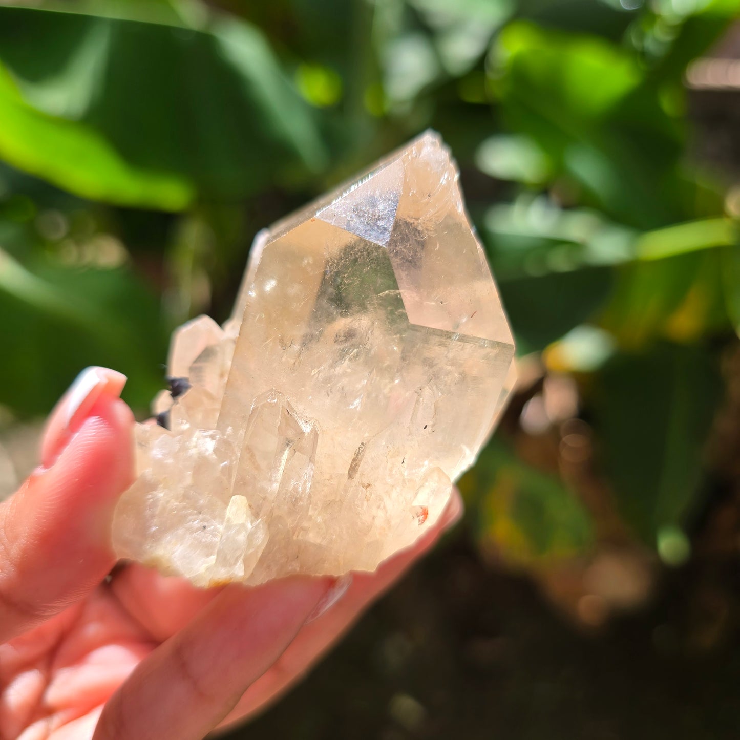 Elestial Citrine Specimen No 9