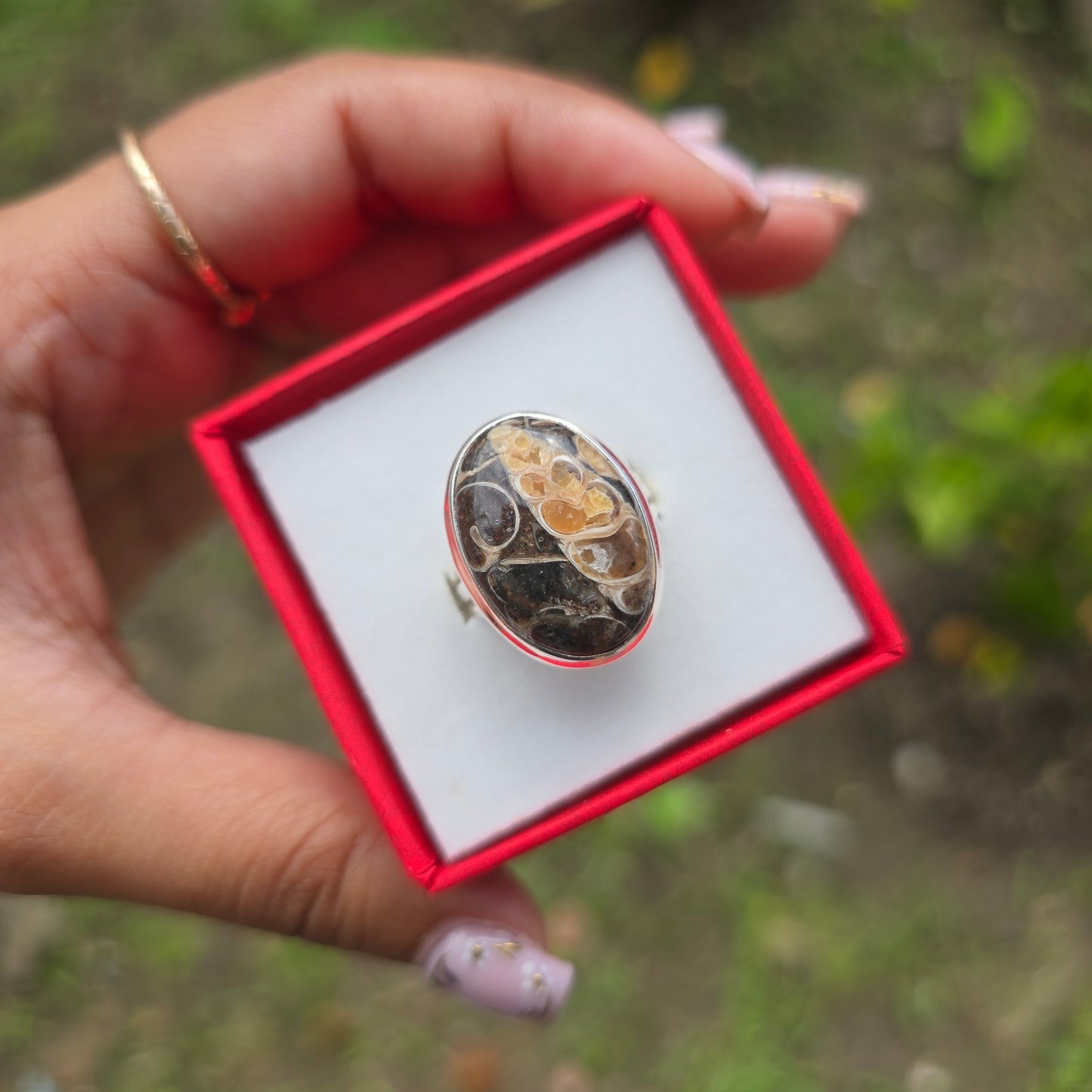 Turtella Jasper Gemstone Ring - Size 8