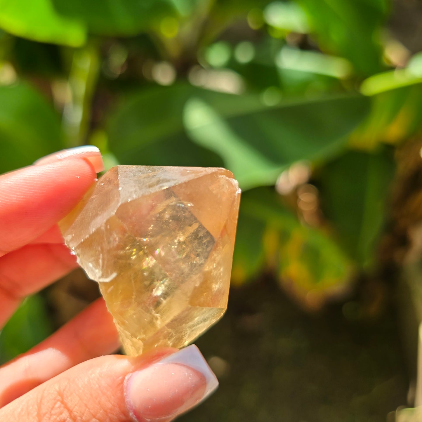 Elestial Citrine Specimen No 3
