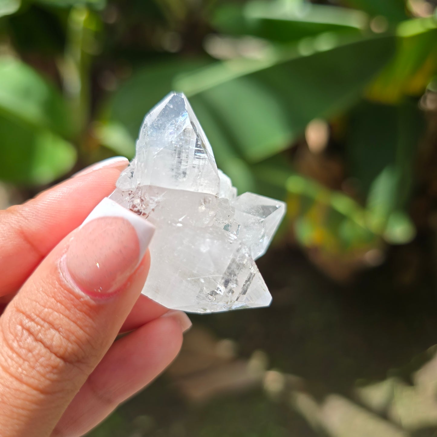 Apophyllite Specimen No 2