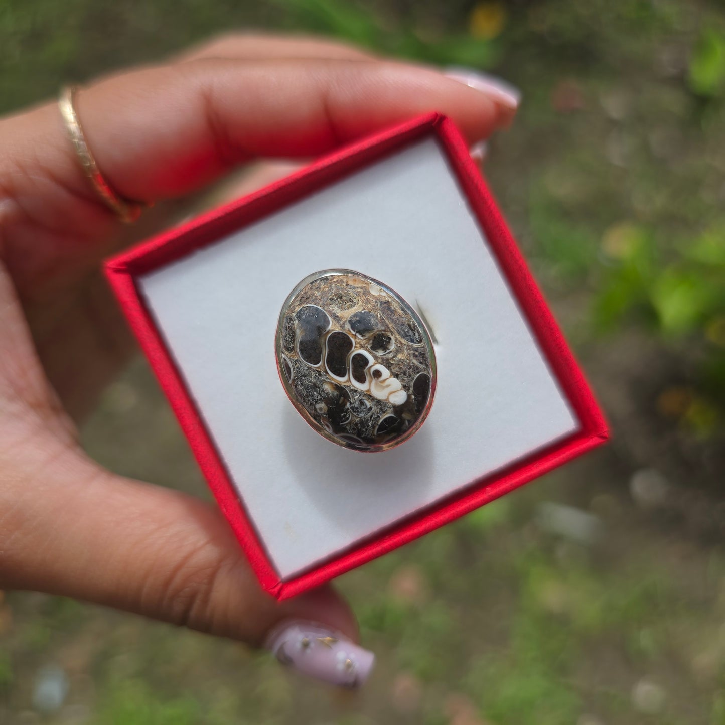 Turtella Jasper Gemstone Ring - Size 6