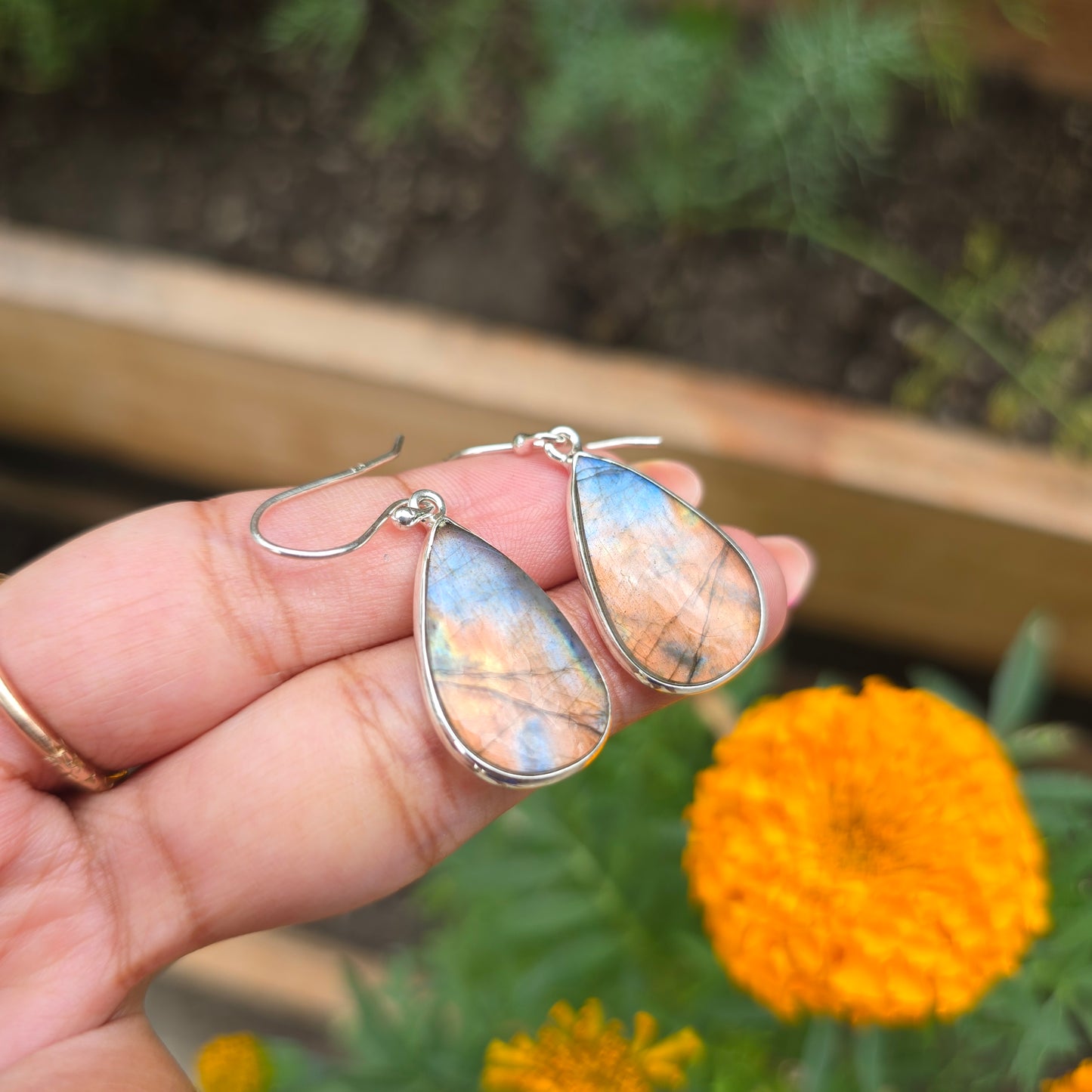 Multi Fire Labradorite Dangle Earring