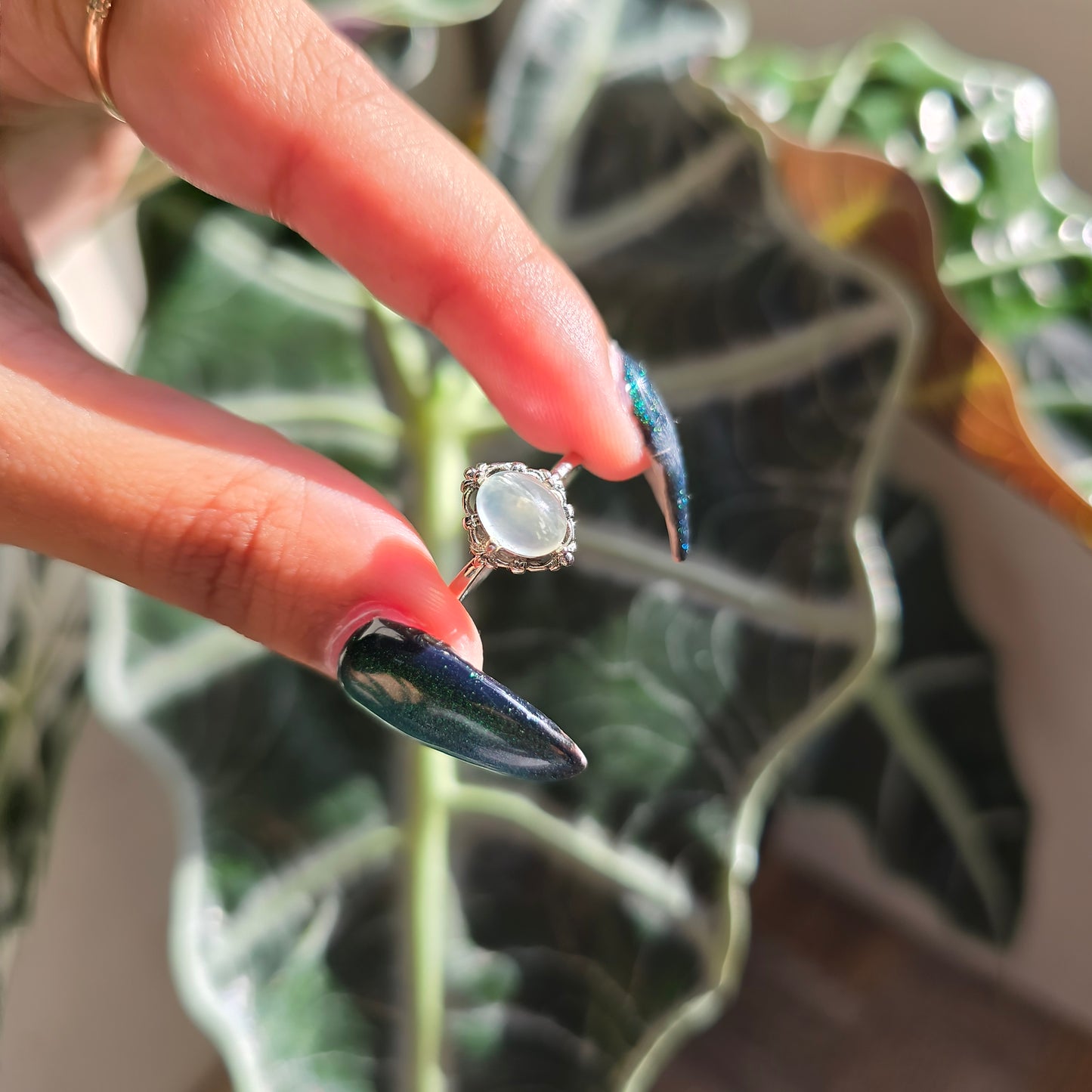 Adjustable Silver Plated Brass Ring - Prehnite