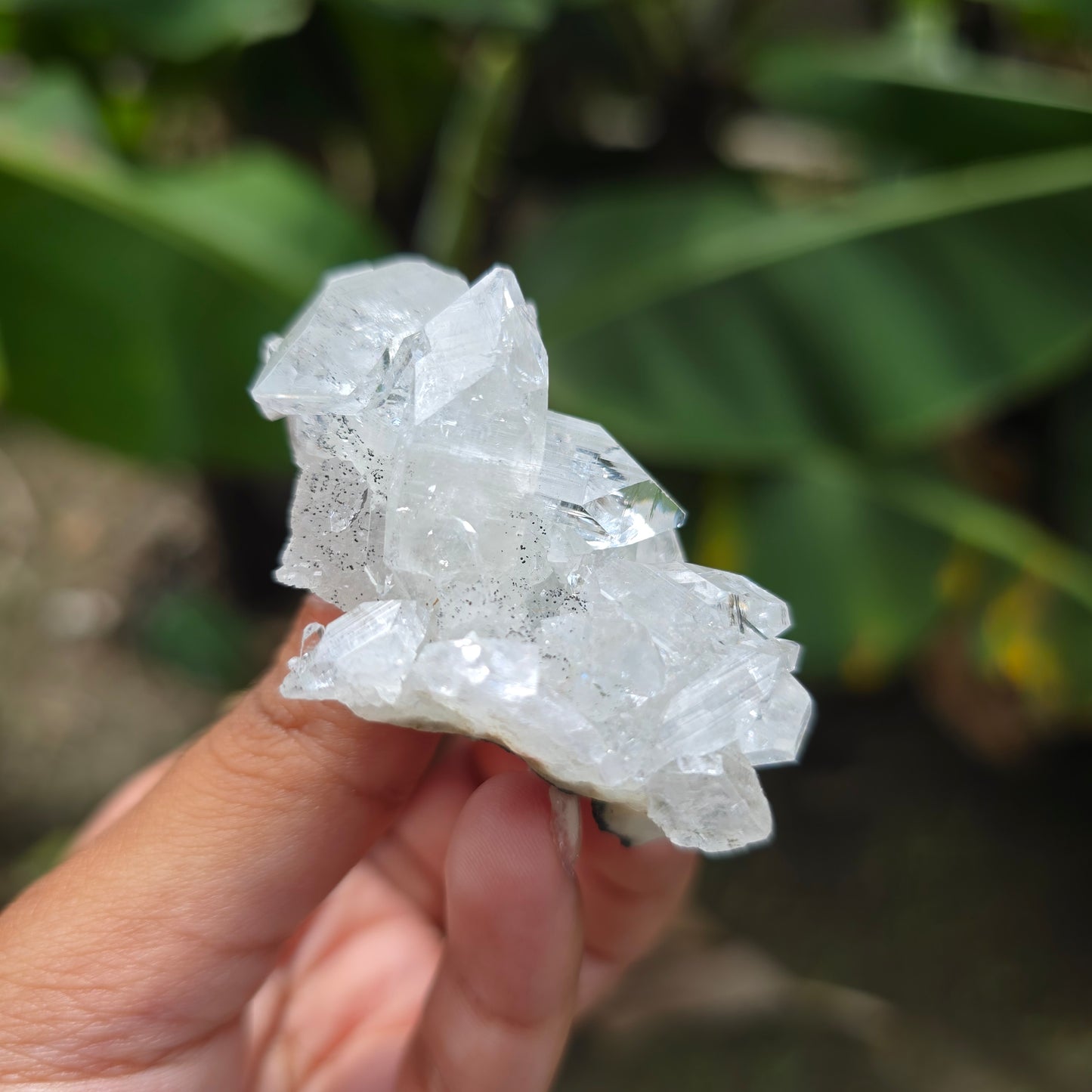 Apophyllite Specimen No 5