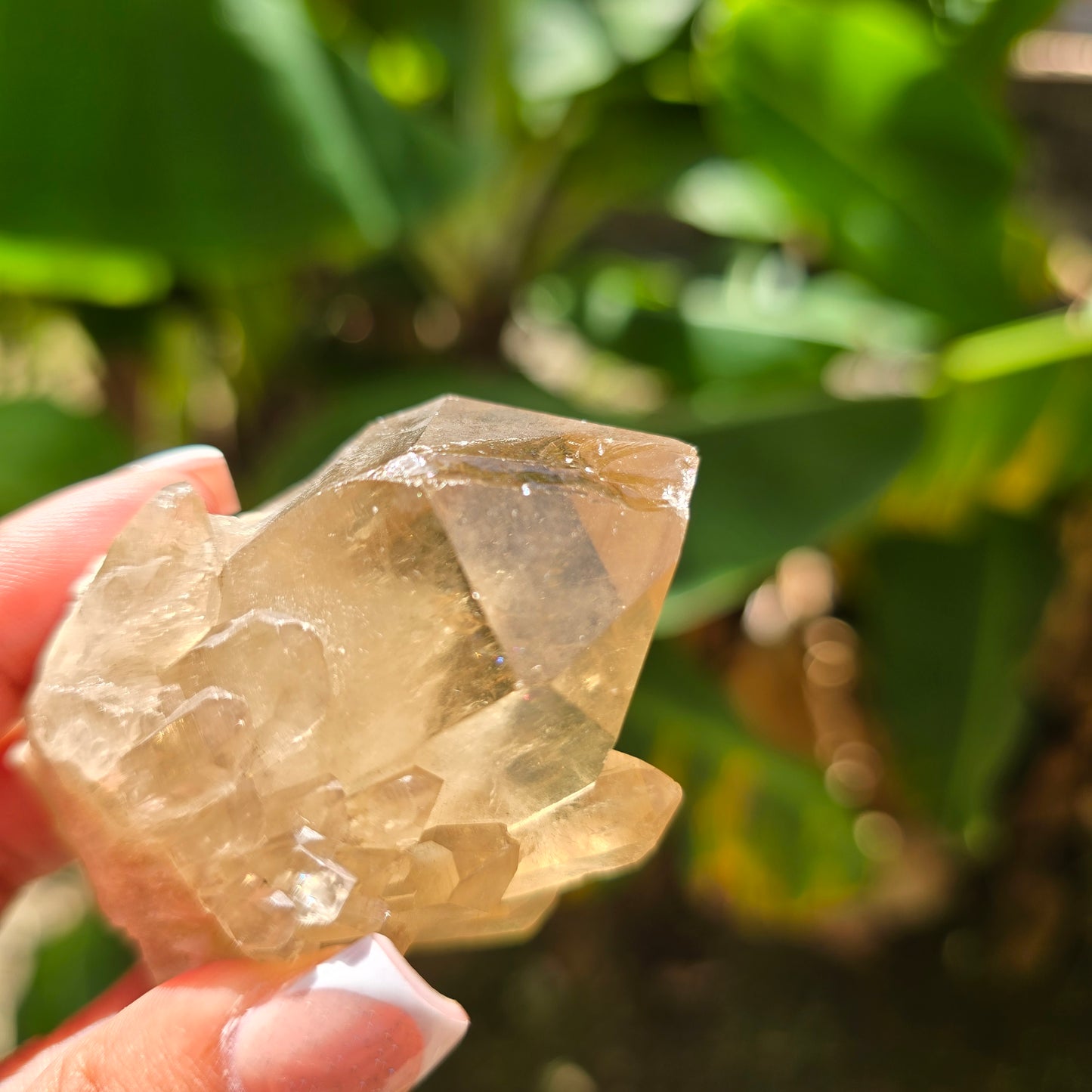 Elestial Citrine Specimen No 6