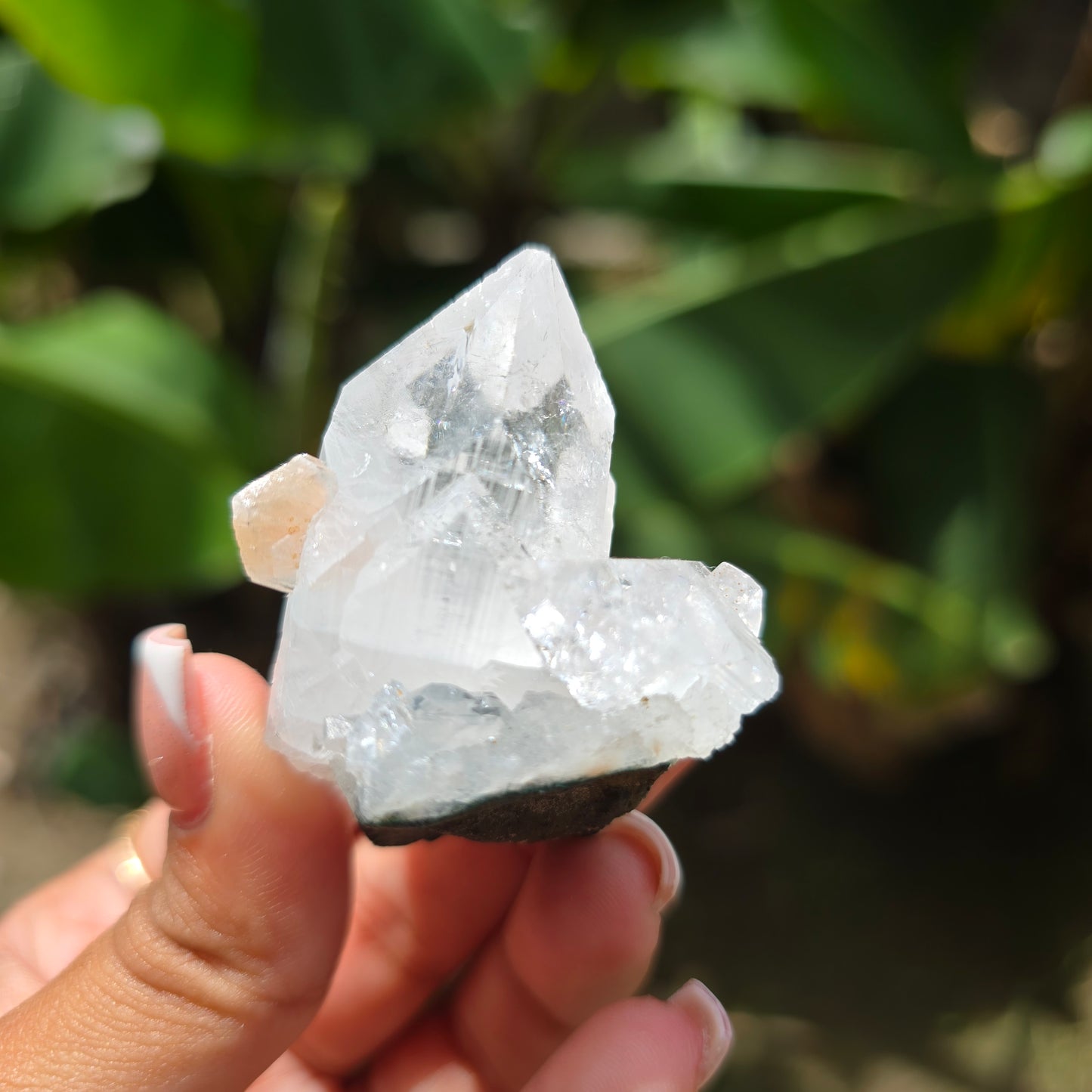 Apophyllite Specimen No 4