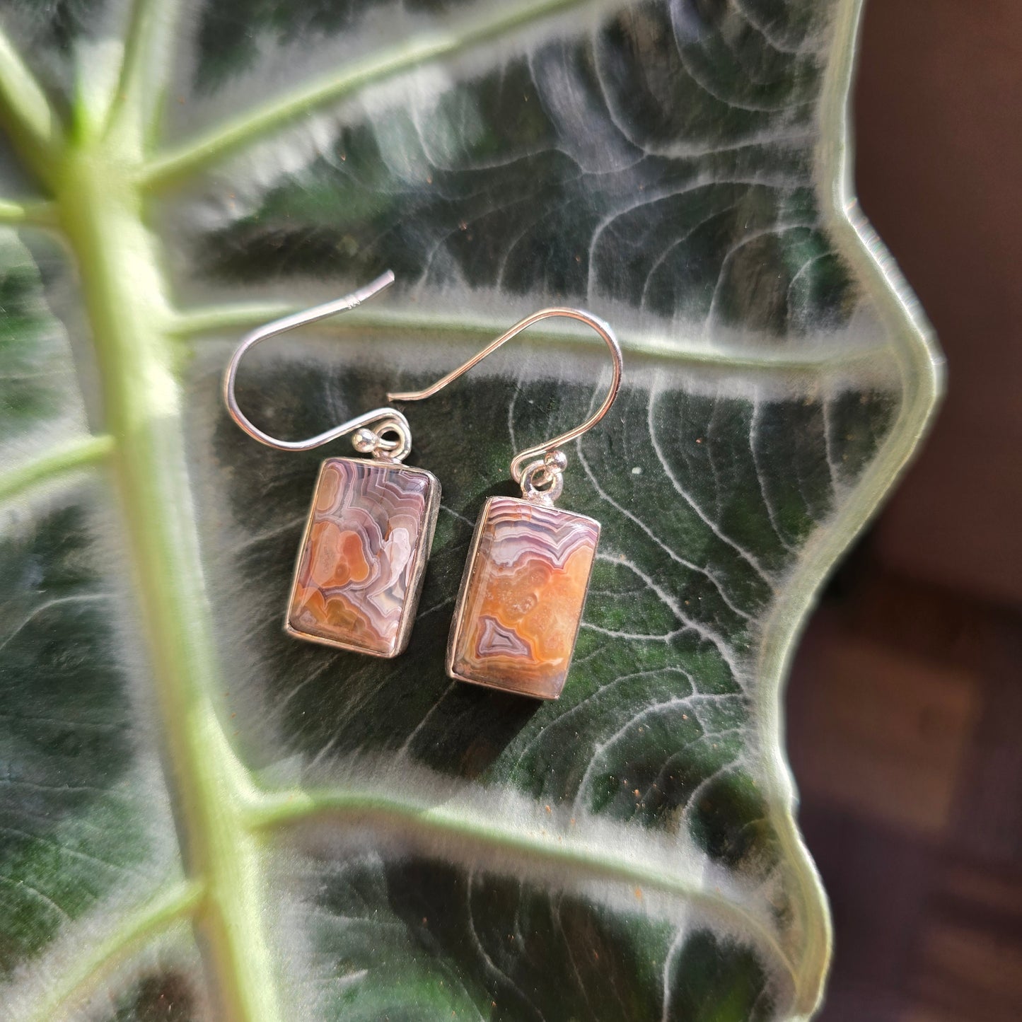 Laguna Lace Agate Earrings