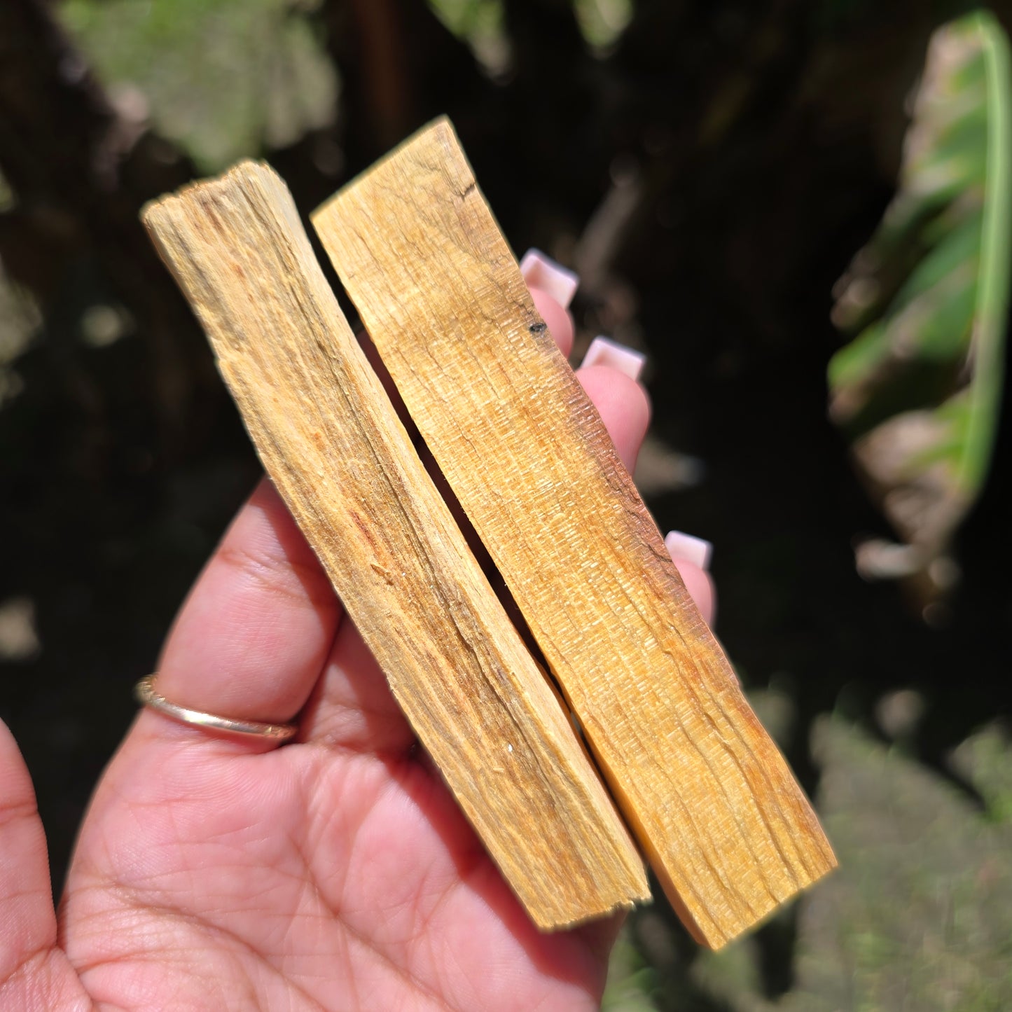 4 Inch Palo Santo Bundle (2 sticks)