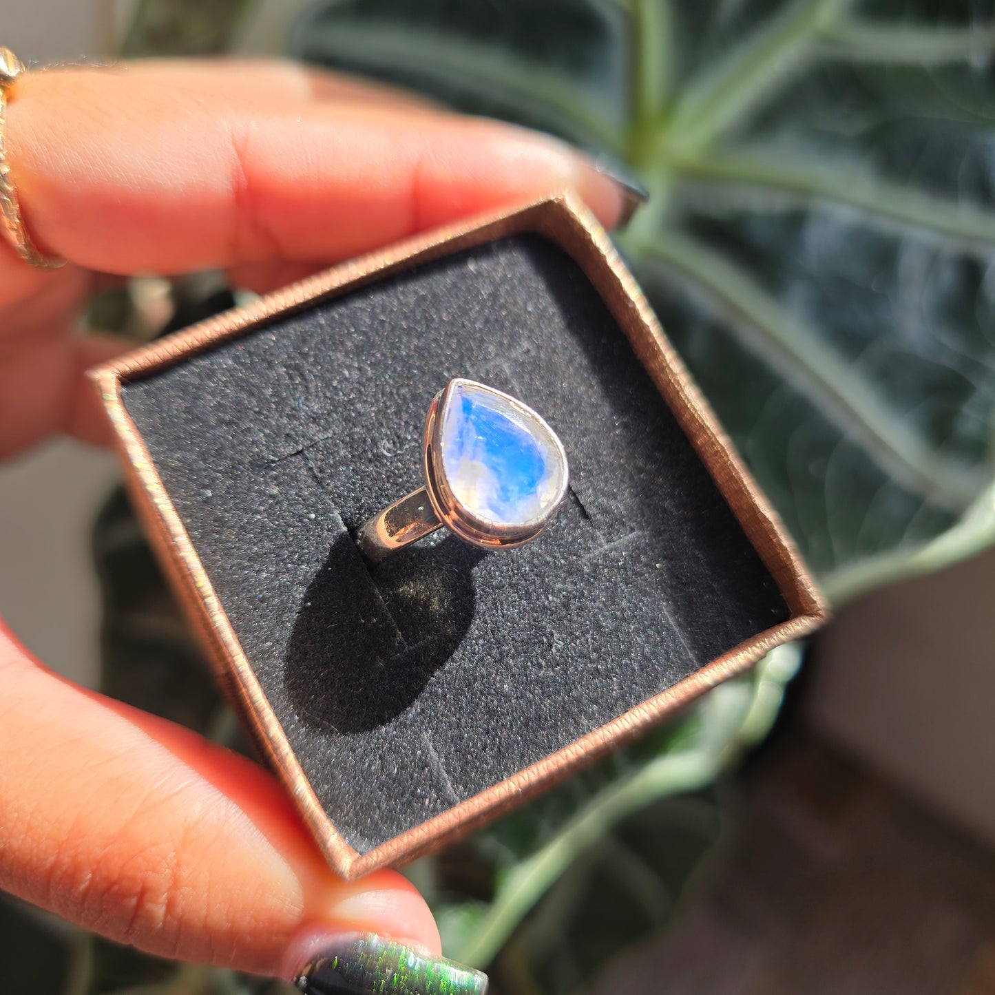 Faceted Rainbow Moonstone Ring - Size 8