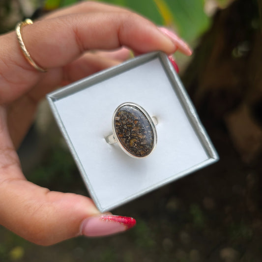 Fossilised Dinosaur Bone Ring - Size 8