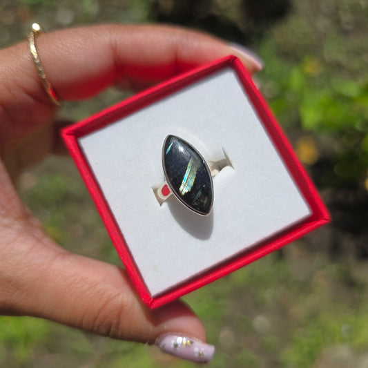 Nuummite Gemstone Ring - Size 5
