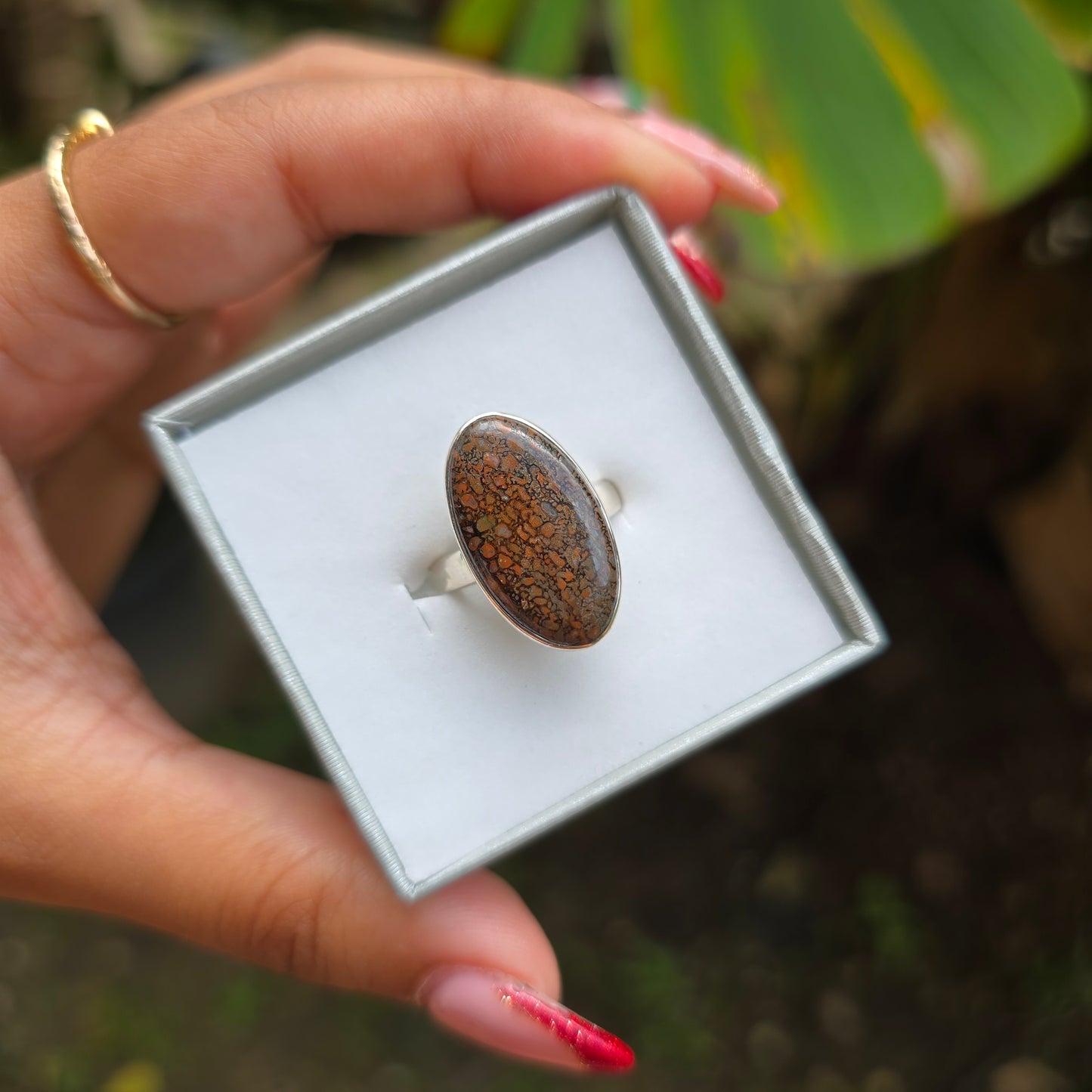 Fossilised Dinosaur Bone Ring - Size 6