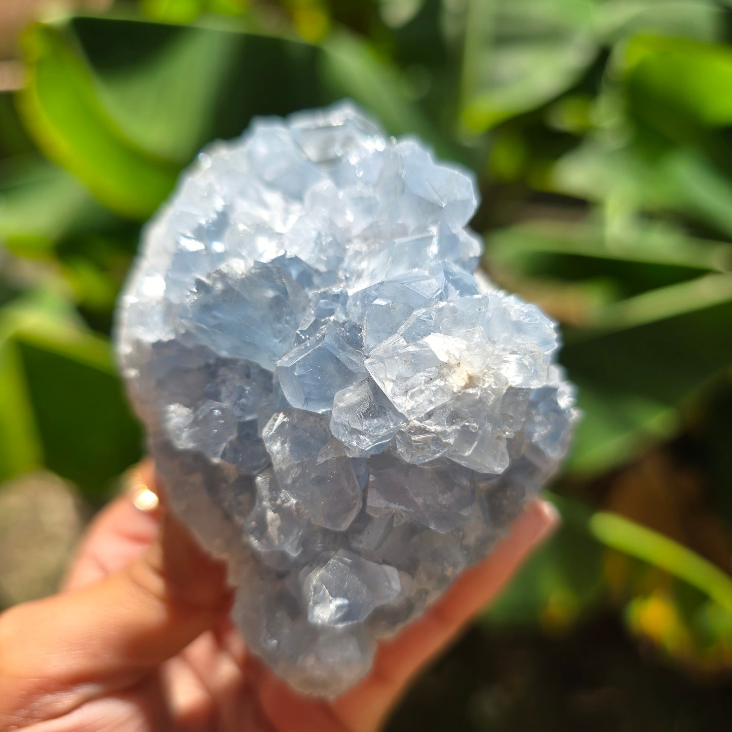Celestite Specimen No 1