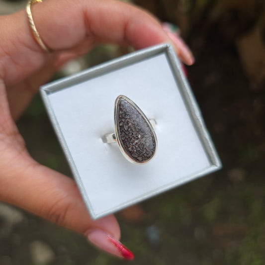 Fossilised Dinosaur Bone Ring - Size 5