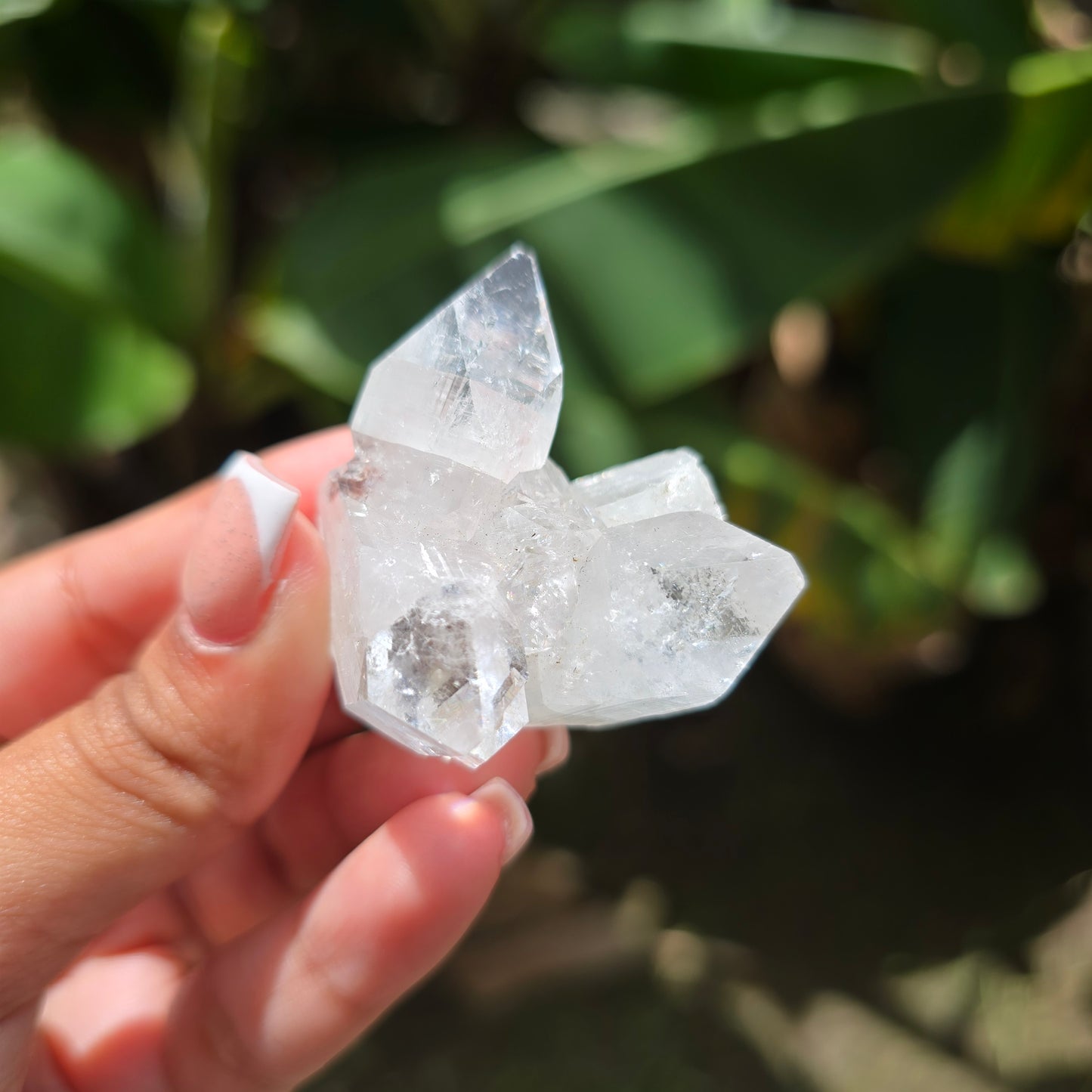 Apophyllite Specimen No 2