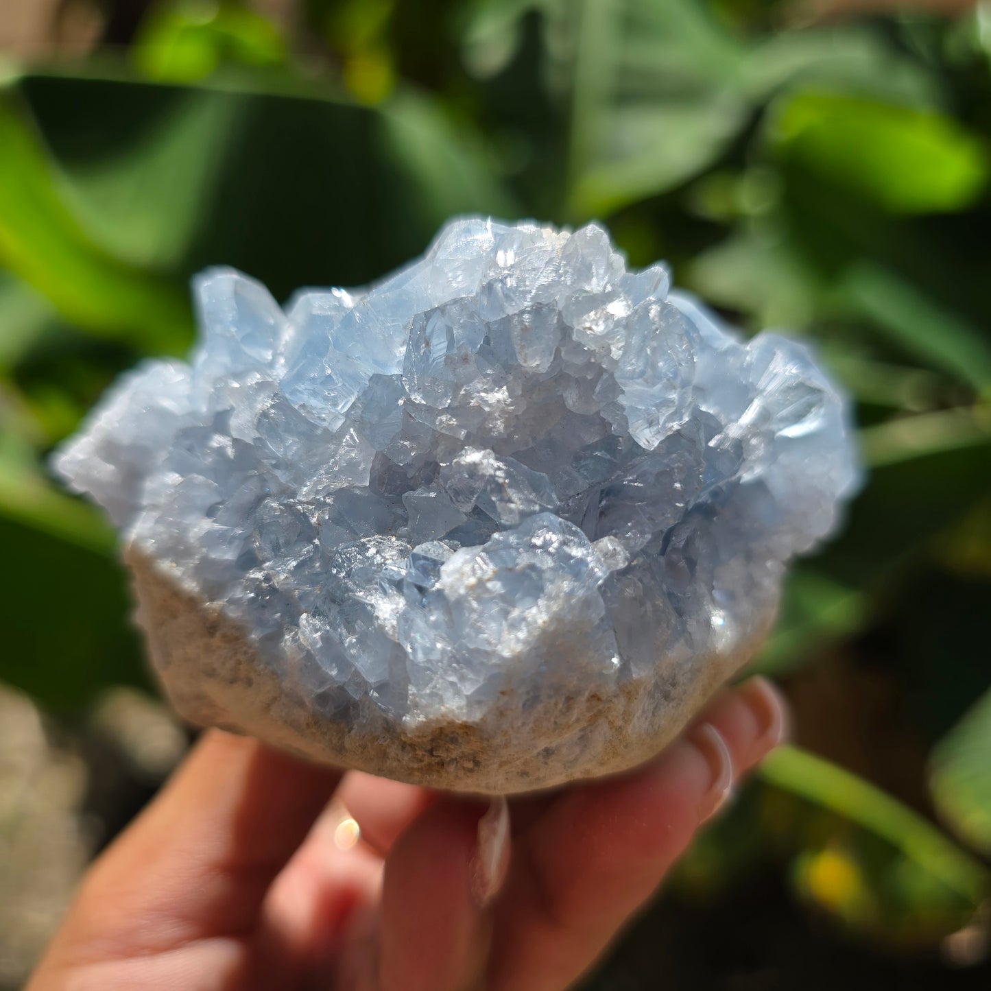 Celestite Specimen No 1
