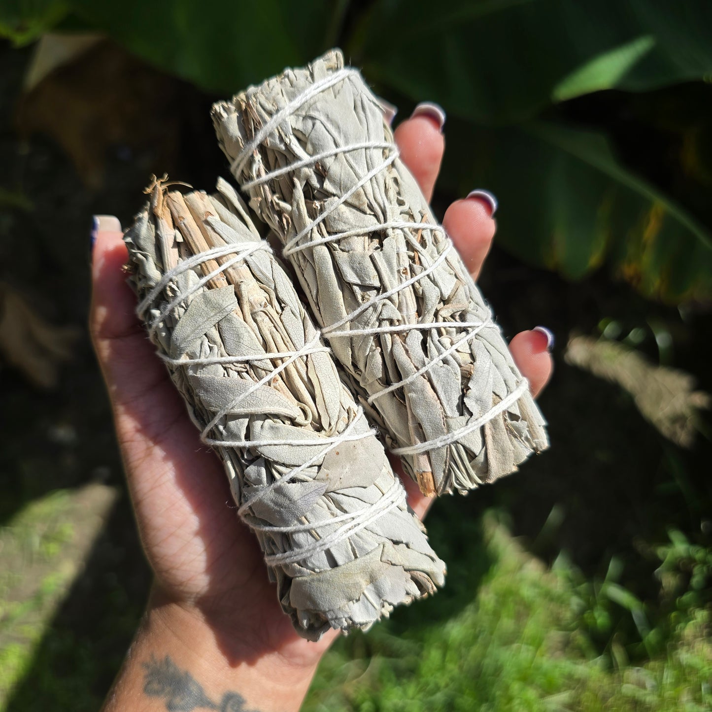 Small White Sage Bundle