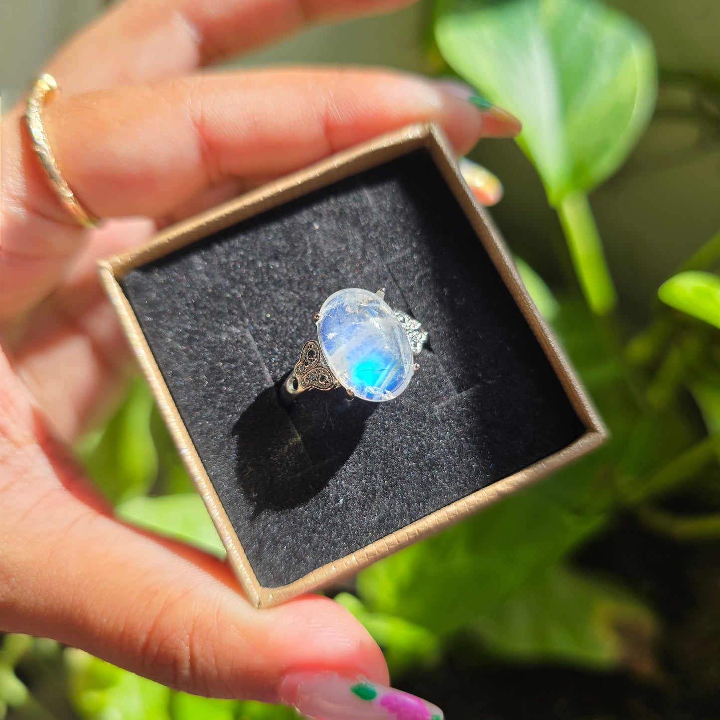 Adjustable Silver Plated Brass Ring - Rainbow Moonstone
