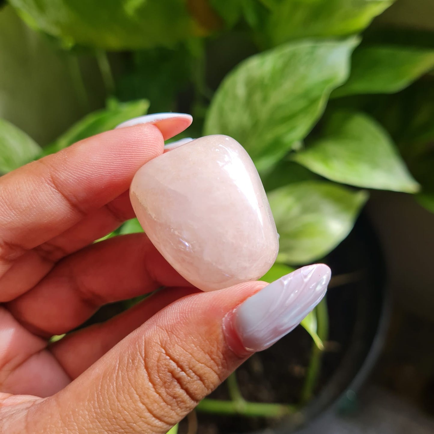Angel Aura Rose Quartz Tumbled Stone