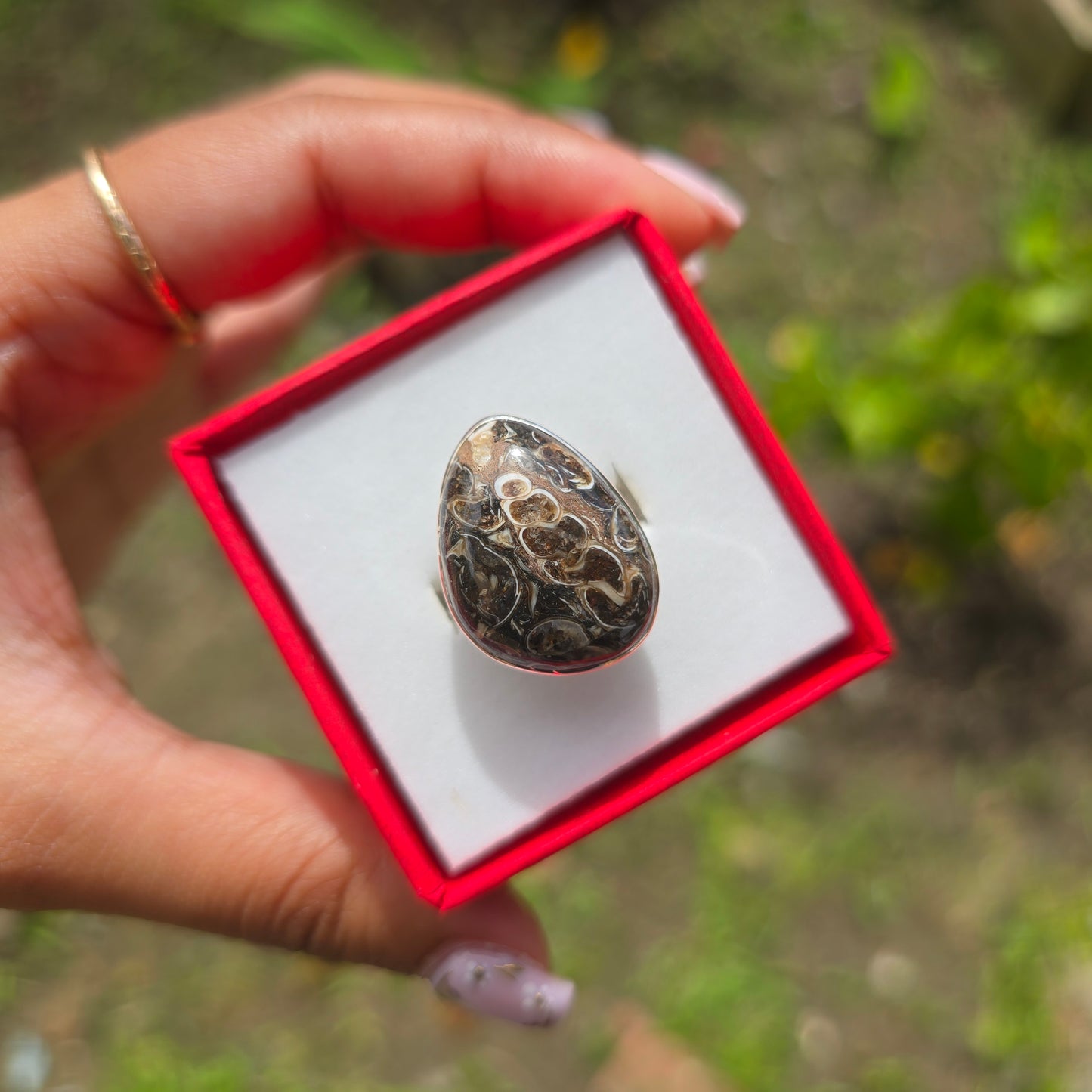 Turtella Jasper Gemstone Ring - Size 5