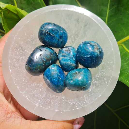 Blue Apatite Tumbled Stone