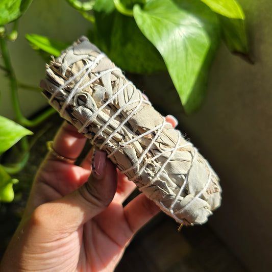 4 Inch White Sage Bundle