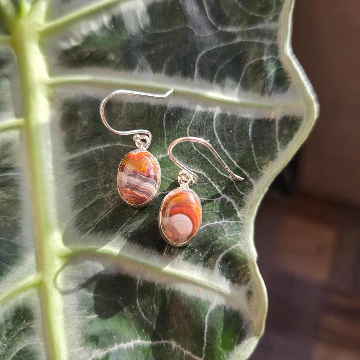 Laguna Lace Agate Earrings