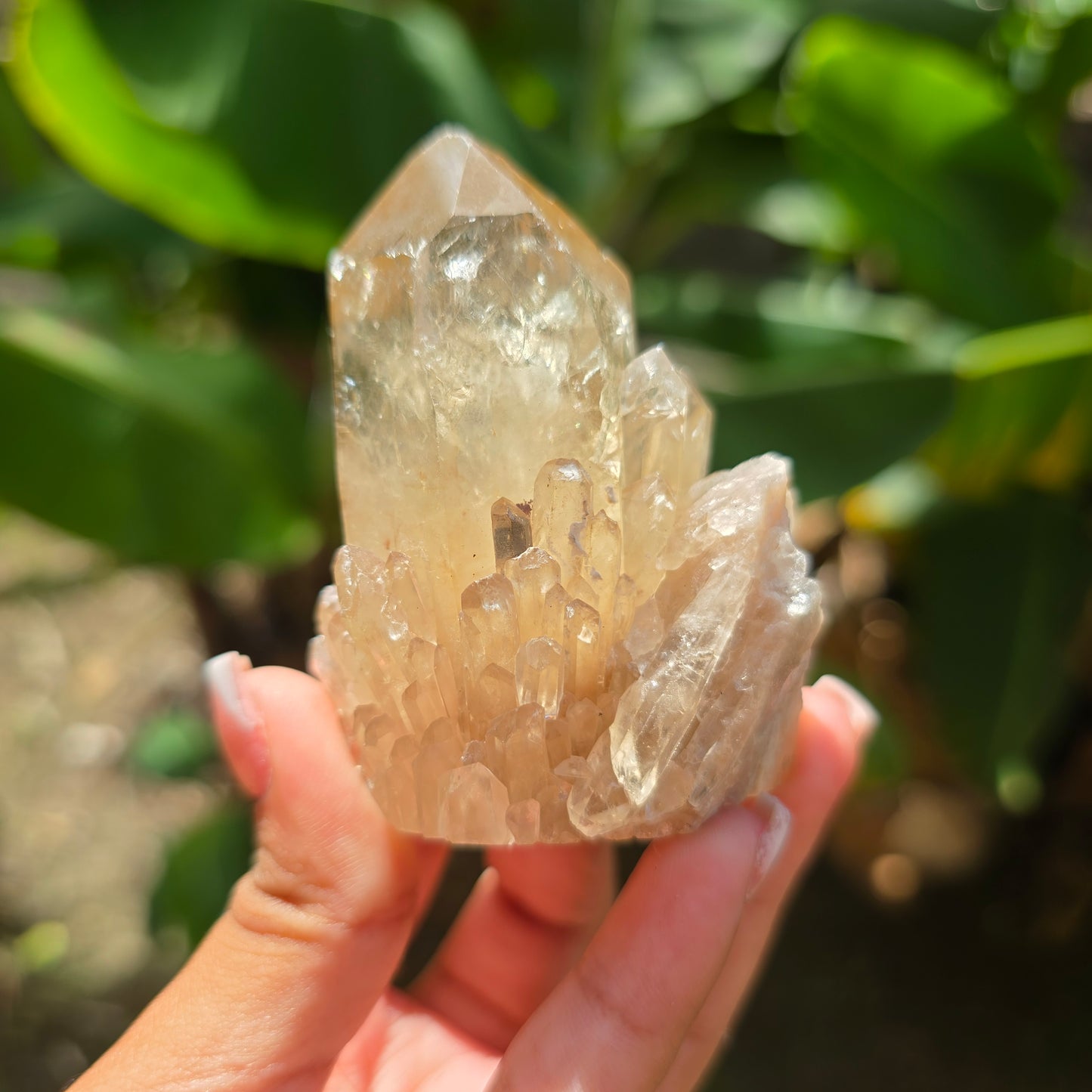 Elestial Citrine Specimen No 10