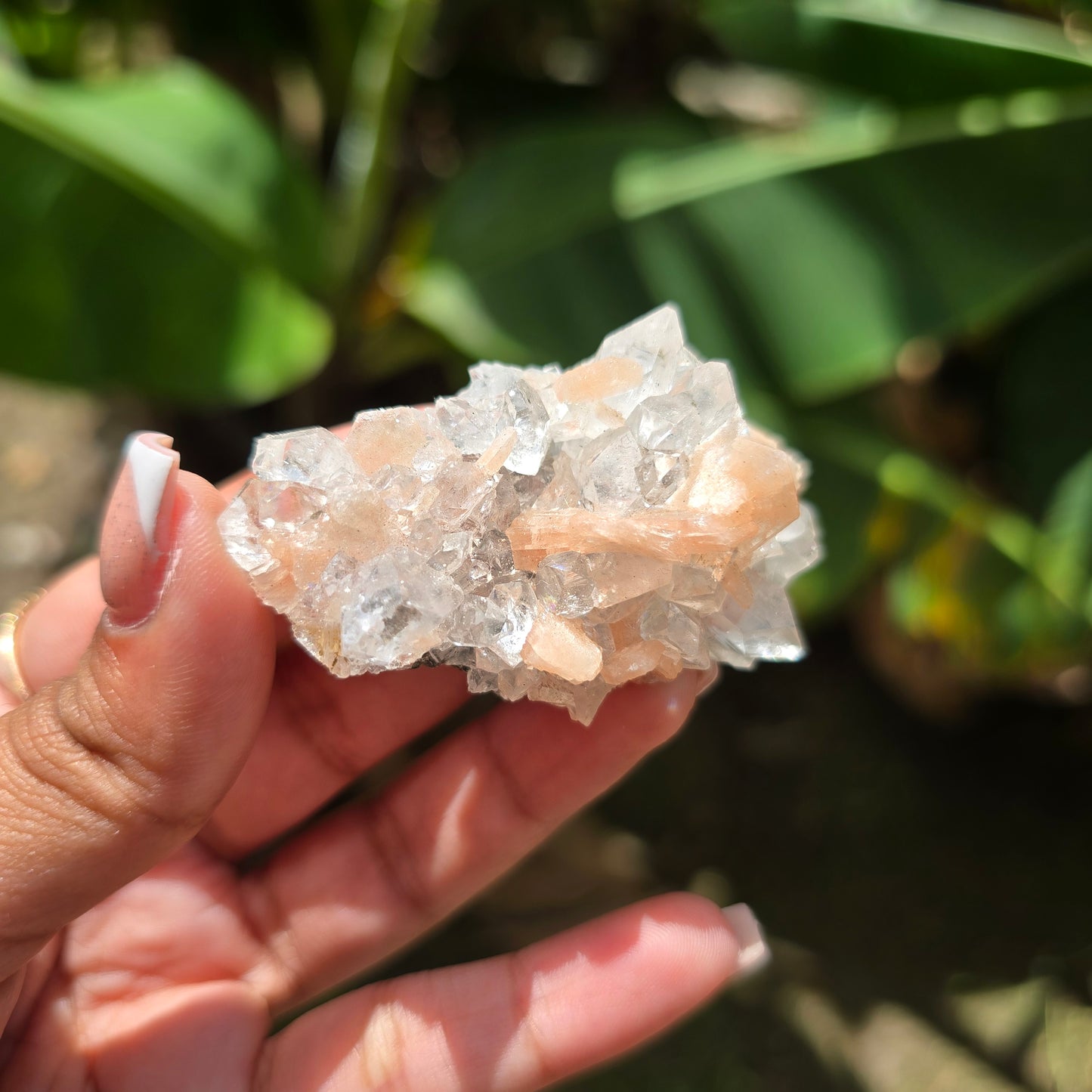 Apophyllite Specimen No 1