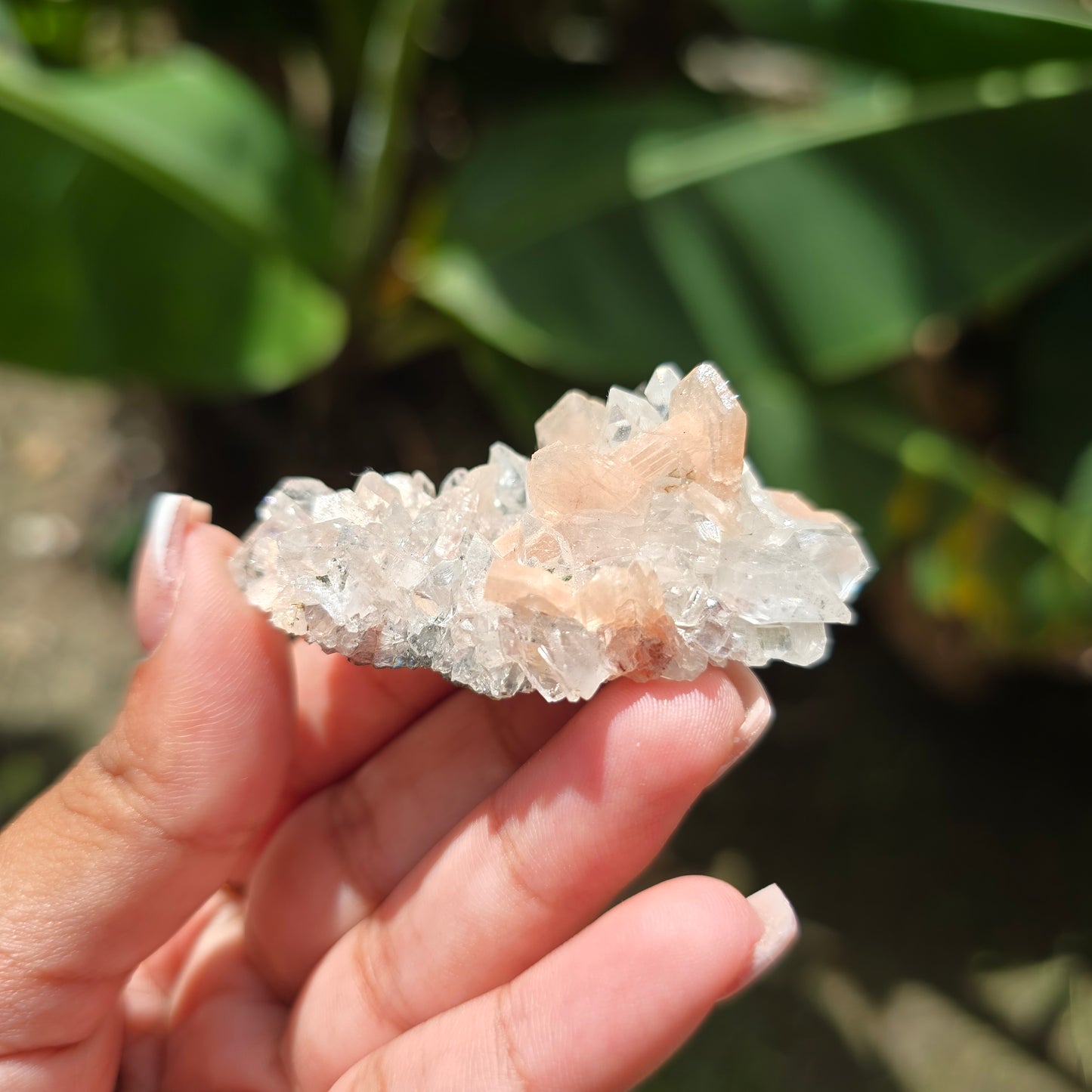 Apophyllite Specimen No 1