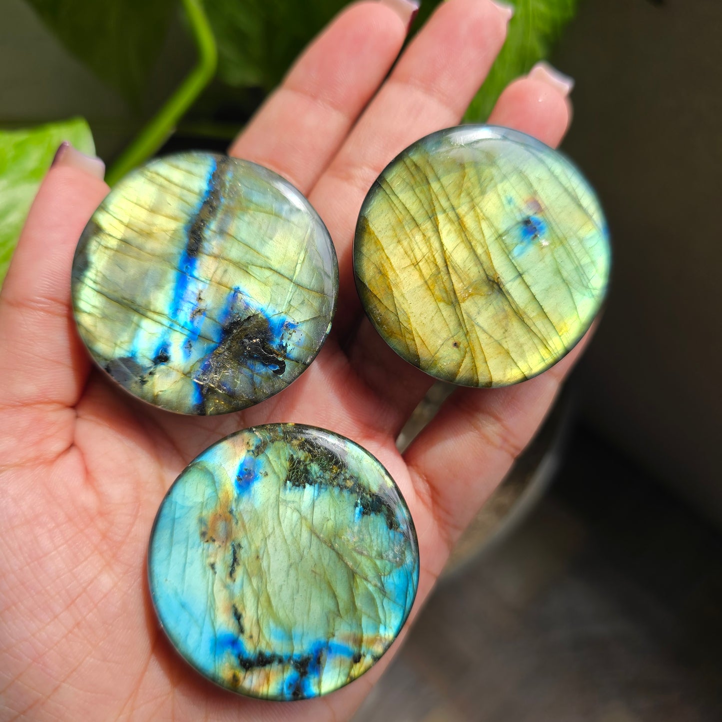 Labradorite Phone Grip