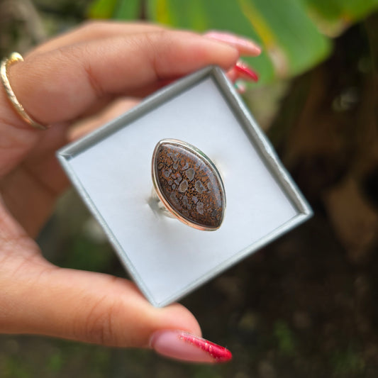 Fossilised Dinosaur Bone Ring - Size 7