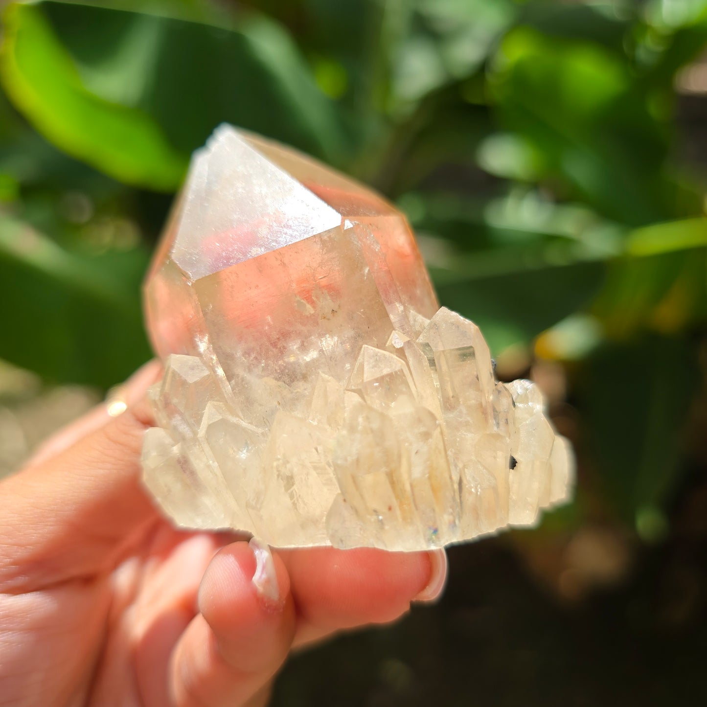 Elestial Citrine Specimen No 9