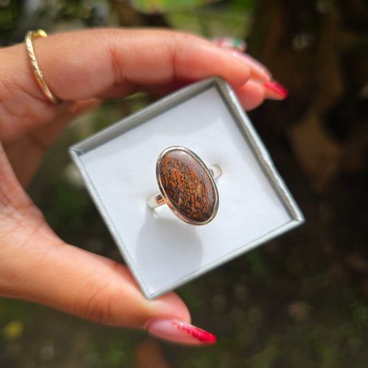 Fossilised Dinosaur Bone Ring - Size 10