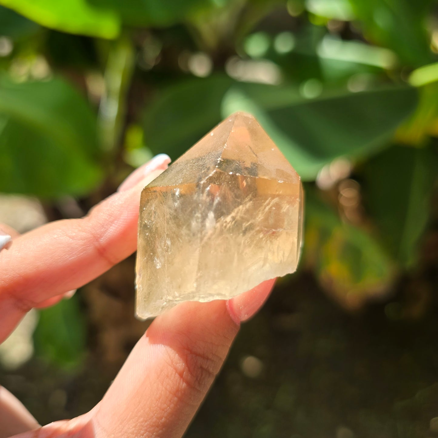 Elestial Citrine Specimen No 3