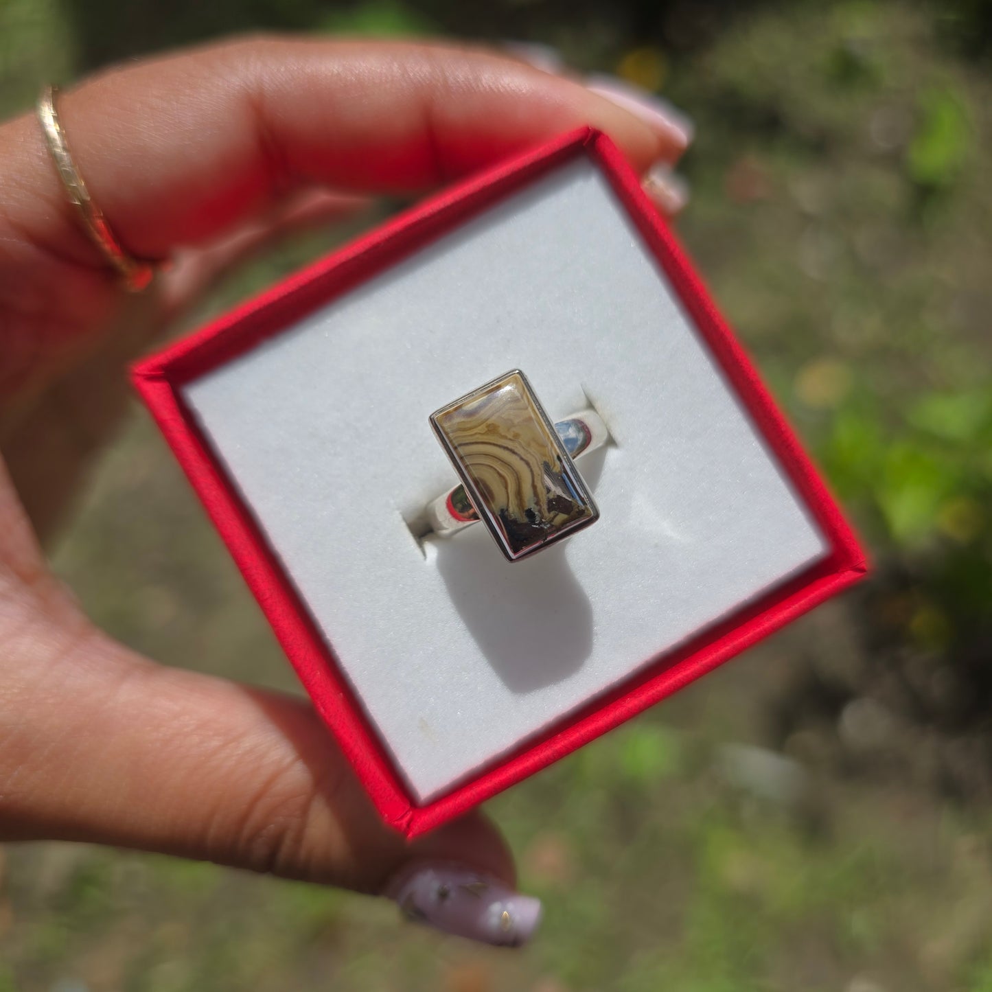 Schalenblende Gemstone Ring - Size 5